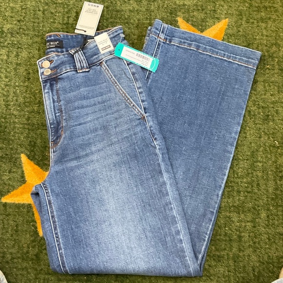 Judy Blue Denim - Judy Blue Baylor High-Rise Wide Leg Jeans - Indigo